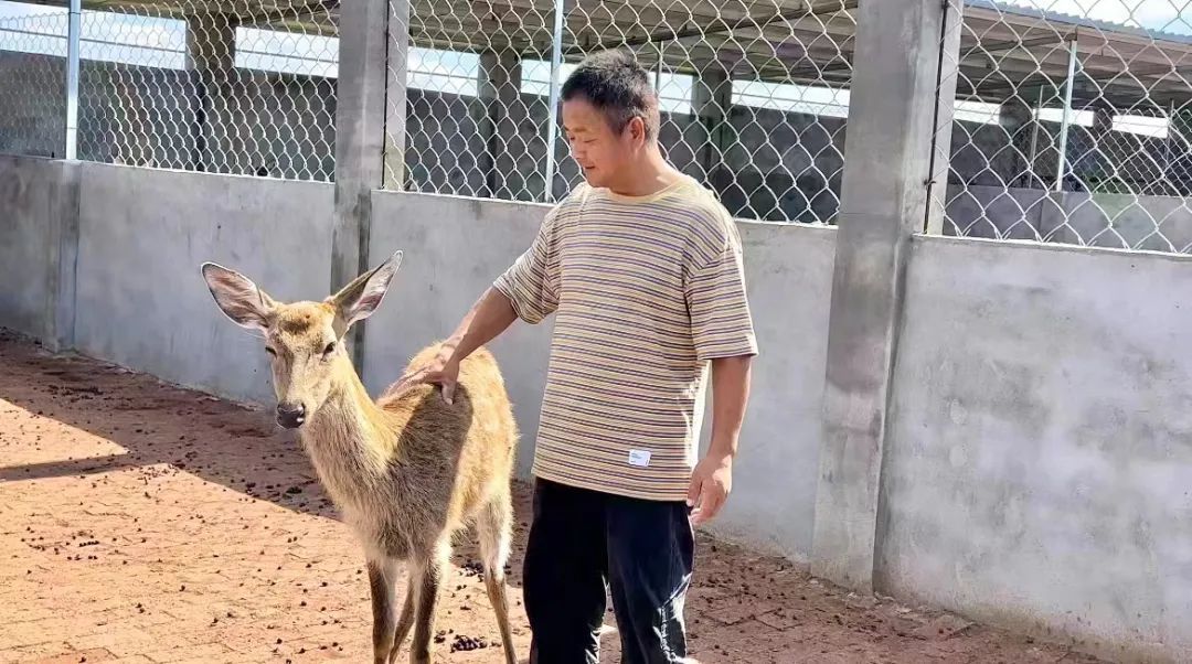 u乐平台登陆